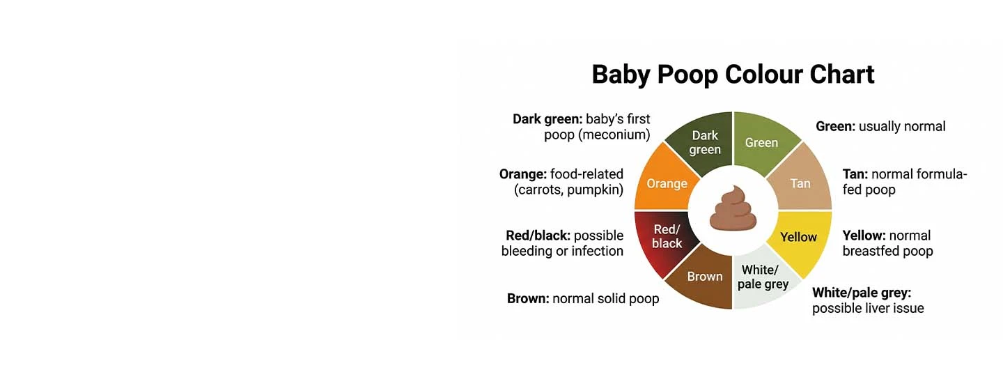 Newborn Poop Color Chart: What’s Normal and What’s Not ?